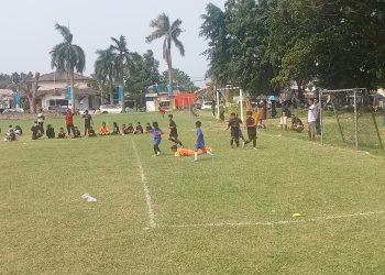 SSB Putra Hanura Gelar Kompetisi Sepakbola Usia Dini Tingkat Provinsi Lampung