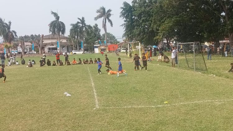 SSB Putra Hanura Gelar Kompetisi Sepakbola Usia Dini Tingkat Provinsi Lampung