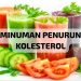 6 Minuman Berbahan Alami yang Ampuh Menurunkan Kolesterol