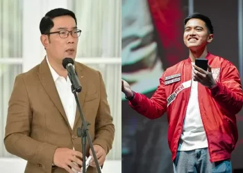 Skenario Pilgub DKI: Pasangan RK-Kaesang vs Kotak Kosong