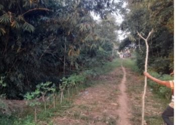 Pemilik Kebun Laporkan Kepala Desa ke Polres Lampung Timur Terkait Penggusuran Tanah