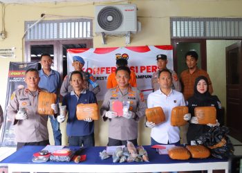 Polsek Telukbetung Utara Amankan Pengedar Narkoba, Sita 9 Kg Ganja dan 241 Gram Sabu