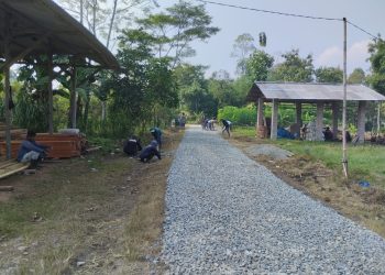 Pekon Sidodadi: Optimalisasi Dana Desa untuk Peningkatan Infrastruktur dan Pemberdayaan Masyarakat