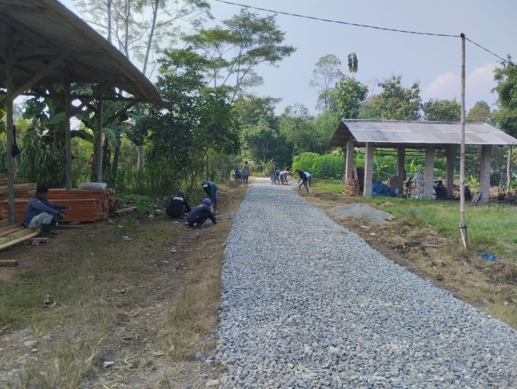 Pekon Sidodadi: Optimalisasi Dana Desa untuk Peningkatan Infrastruktur dan Pemberdayaan Masyarakat