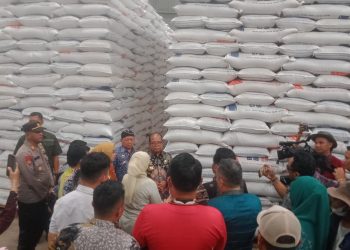 Kunjungan Kerja Pj Gubernur Lampung: Fokus pada Ketahanan Pangan di Lampung Timur