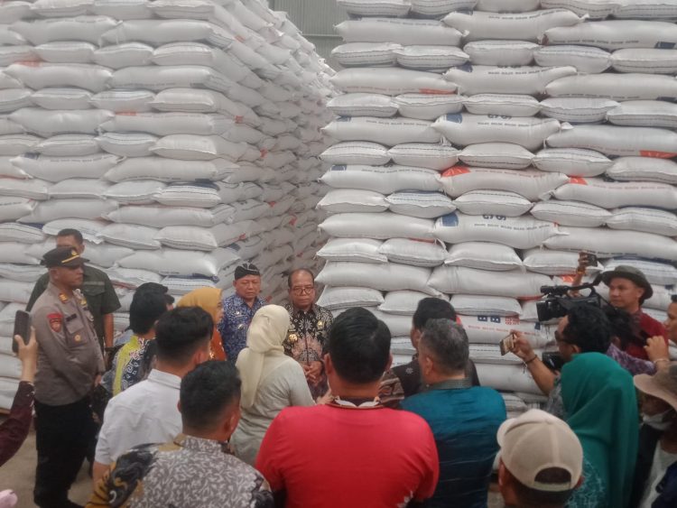 Kunjungan Kerja Pj Gubernur Lampung: Fokus pada Ketahanan Pangan di Lampung Timur