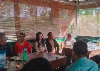 PDIP dan PKB Bersiap Deklarasikan Pasangan Fauzi-Laras