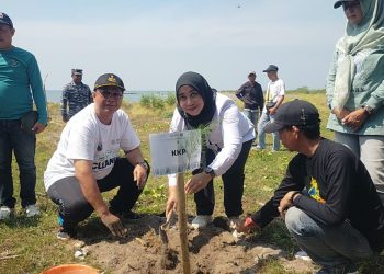 Penanaman Vegetasi Pohon Cemara di Wonosobo: Langkah Awal Menuju Pelestarian Pantai