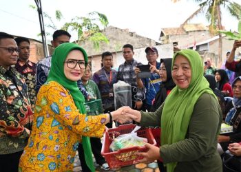 Pemkab Pesawaran Dorong Kemandirian Pangan Lewat KWT dengan Program B2SA