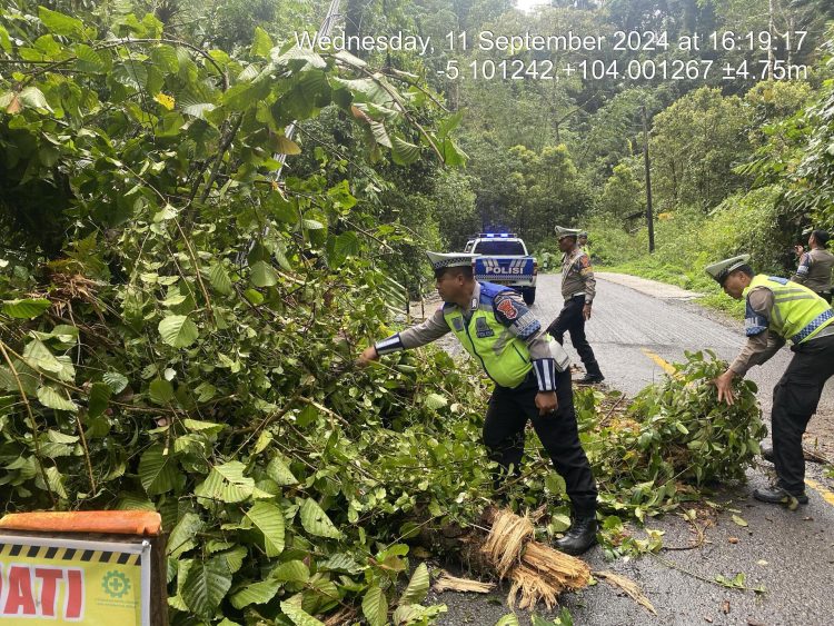 Sat Lantas Polres Lampung Barat Gelar Patroli dan Pembersihan Pohon dalam Rangka HUT Lalu Lintas ke-69