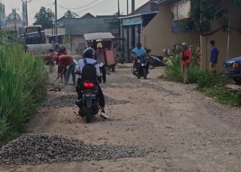 Pemda Pesawaran Perbaiki Akses Jalan Penghubung Way Khilau untuk Kemudahan Masyarakat