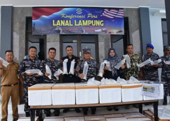 Lanal Lampung Gagalkan Penyelundupan Ribuan Ekor Benih Lobster Senilai Rp 29 Miliar