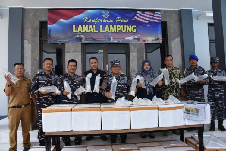 Lanal Lampung Gagalkan Penyelundupan Ribuan Ekor Benih Lobster Senilai Rp 29 Miliar