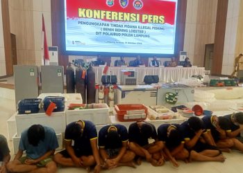 Polda Lampung Ungkap Kasus Penyelundupan Benih Baby Lobster di Lampung Tengah