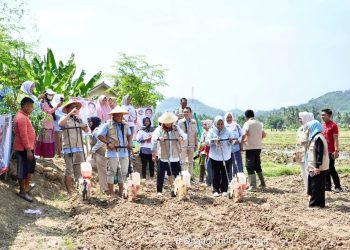 Relawan STMJ Deklarasikan Dukungan untuk Nanda-Anton dalam Memajukan Petani
