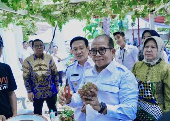 Pj. Gubernur Lampung Dukung Pringsewu Sebagai Kota Anggur