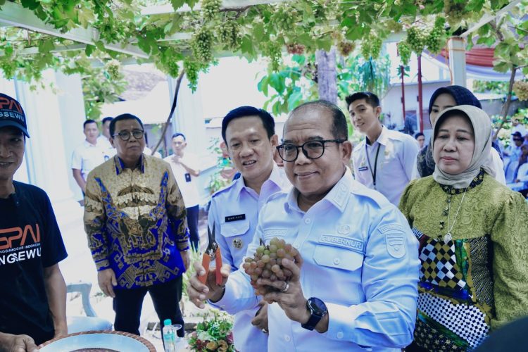 Pj. Gubernur Lampung Dukung Pringsewu Sebagai Kota Anggur