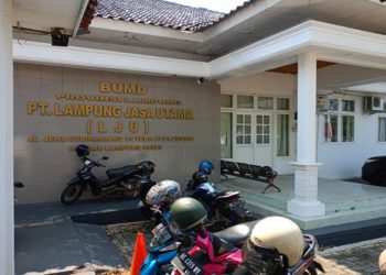 Aneh! Mashudi, Direktur Operasional PT LJU, Belum Diperiksa Kejati Lampung Meski Punya Peran Penting