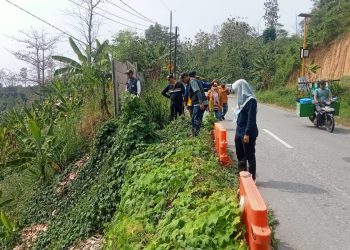 Dinas BMBK Lakukan Pembangunan Talud dan Jembatan Way Dantar untuk Perbaikan Jalan