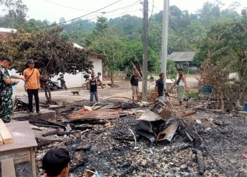 Api Padam, Damkar dan PLN Beraksi, Korban Kebakaran di Pesawaran Harapkan Bantuan