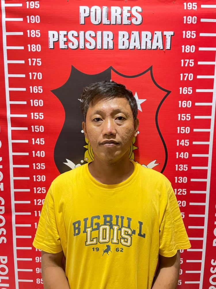 Polres Pesisir Barat Amankan Pelaku Penyelundup BBL, Kapolres: Pelaku Lain Masih Diburu