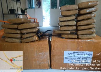 Tim Terpadu Seaport Interdiction Bakauheni Gagalkan Penyelundupan 23 Paket Ganja dari Mobil Ekspedisi