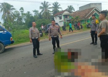 Pelajar 16 Tahun Tewas dalam Kecelakaan Lalu Lintas di Pringsewu