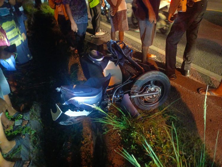 Kecelakaan Maut di Jalinbar Pringsewu: Mahasiswi UIN Lampung Tewas di Tempat