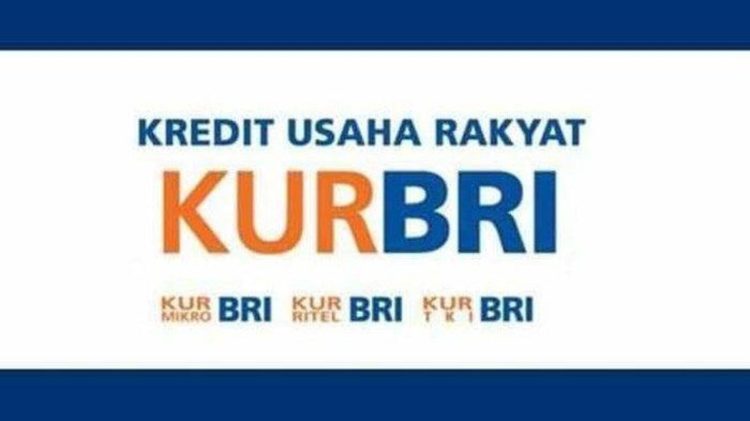 Pemilik Usaha Bisa Ajukan KUR BRI dengan Syarat Usaha Sudah Berjalan 6 Bulan