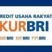 Pemilik Usaha Bisa Ajukan KUR BRI dengan Syarat Usaha Sudah Berjalan 6 Bulan