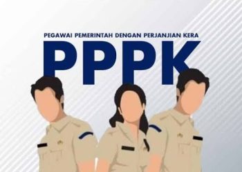 Detail Tes Seleksi PPPK 2024 Sesuai Pengumuman Resmi BKN