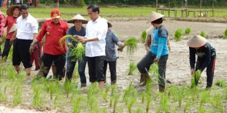 Serikat Petani Kritik Kebijakan Pemerintah yang Merugikan Petani Sepanjang 2024