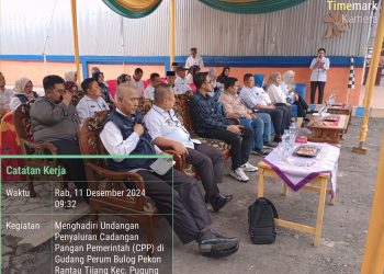 Pj. Bupati Tanggamus Lepas Cadangan Pangan Pemerintah Alokasi Desember 2024 di Gudang Bulog