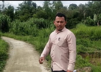 Aktivis GERMASI Pertanyakan Kinerja Pendamping Desa Teknik Infrastruktur di Lampung Barat