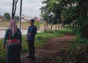 Satu Ruas Jalan di Jalur 2 Podomoro Tertutup Rumput dan Tidak Berfungsi Lagi
