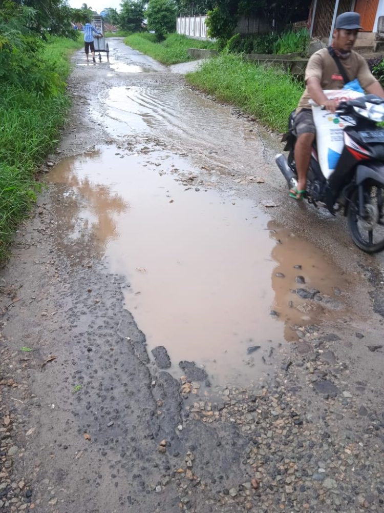 Sejumlah Jalan Kabupaten di Kecamatan Pringsewu Rusak Parah, Warga Mengeluh