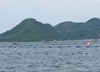 Jaring Pengaman Sampah Laut Lampung Marriott Resort Menuai Kritik, Belum Miliki Izin KKPRL