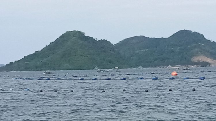 Jaring Pengaman Sampah Laut Lampung Marriott Resort Menuai Kritik, Belum Miliki Izin KKPRL