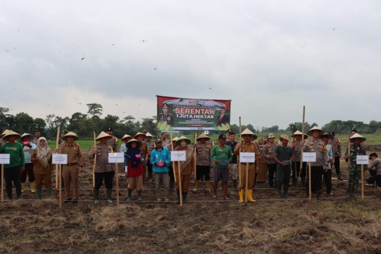 Polres Pringsewu dan Pemkab Bersinergi, Tanam Jagung di Lahan 142 Hektare