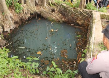 Pria Lansia Ditemukan Meninggal Mengapung di Embung Mata Air di Pringsewu