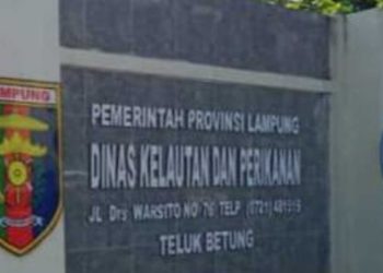 Jaring Sampah Laut Lampung Marriott Resort: DKP Lampung Tegaskan Masih Proses Izin di KKP