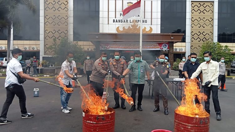 Polresta Bandar Lampung Musnahkan Narkoba Senilai Rp672 Juta