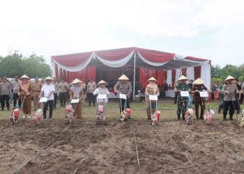 Gerakan Penanaman Jagung 1 Juta Hektar oleh Polres Lampung Selatan Dukung Swasembada Pangan di Way Urang Kalianda