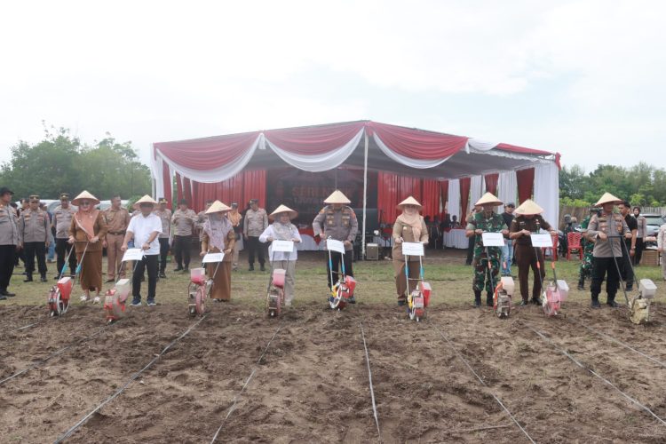 Gerakan Penanaman Jagung 1 Juta Hektar oleh Polres Lampung Selatan Dukung Swasembada Pangan di Way Urang Kalianda