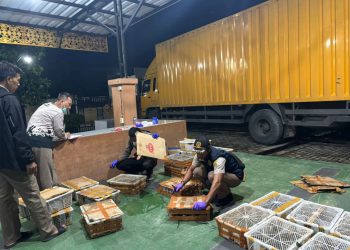 Polres Lampung Selatan Ungkap Kasus Pengangkutan 444 Ekor Burung Tanpa Dokumen Sah