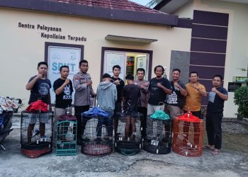 Dua Pelajar SMA Curi Burung Murai, Diamankan Polisi di Pringsewu