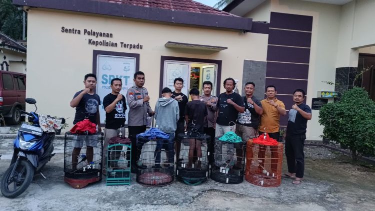 Dua Pelajar SMA Curi Burung Murai, Diamankan Polisi di Pringsewu