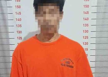 Tekab 308 Presisi Polsek Penengahan Amankan Pelaku Pencurian di Ketapang