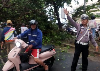 Hujan Deras dan Angin Kencang Terjang Bandar Lampung, Warga Diimbau Waspada