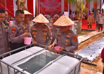 Polda Lampung Perkuat Ketahanan Pangan, Kapolda dan Bhayangkari Luncurkan Program Pekarangan Pangan Lestari